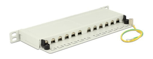 Delock Koblingspanel Cat 6A Rj-45 X 12 Lysegrå Ral 7035 0.5U 10"