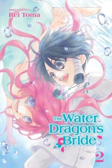 The Water Dragon'S Bride, Vol. 2 Av Rei Toma