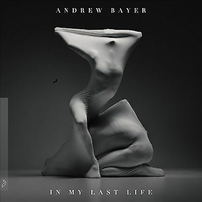 MediaTronixs Andrew Bayer : In My Last Life CD (2018) Pre-Owned MediaTronixs Andrew Bayer : In My Last Life CD (2018) Pre-Owned
