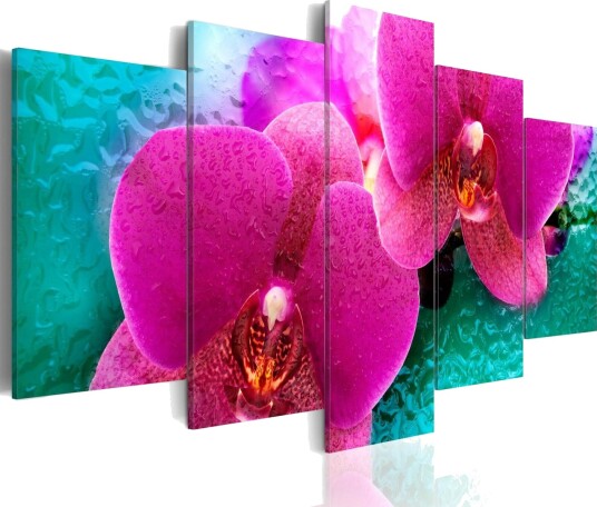 Bilde Exotic Orchids 200x100 Artgeist sp. z o. o.
