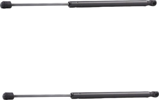 RIDEX 219G3150 Baklukedemper