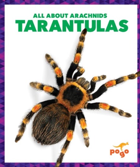 Tarantulas Tarantulas