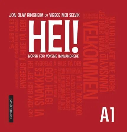 Hei! A1 Av Jon Olav Ringheim, Vibece Moi Selvik