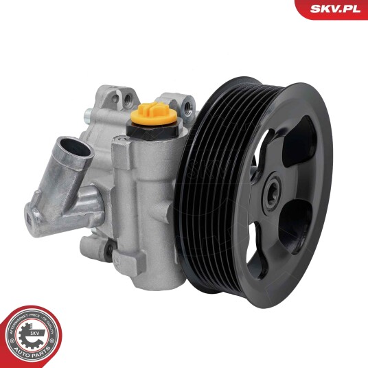 ESEN SKV 10SKV424 Servopumpe ESEN SKV 10SKV424 Servopumpe