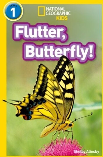 Flutter, Butterfly! Flutter, Butterfly!
