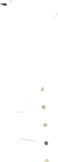 Pinko Dame Kjoler Hvit M, Pinko Dame Kjoler Hvit M,
