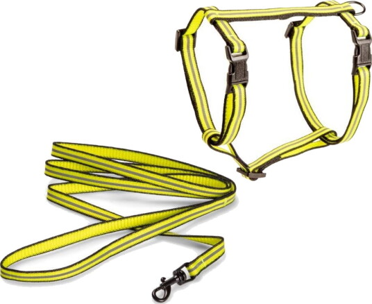 Basic Cat Reflective Kattesele Kobbel