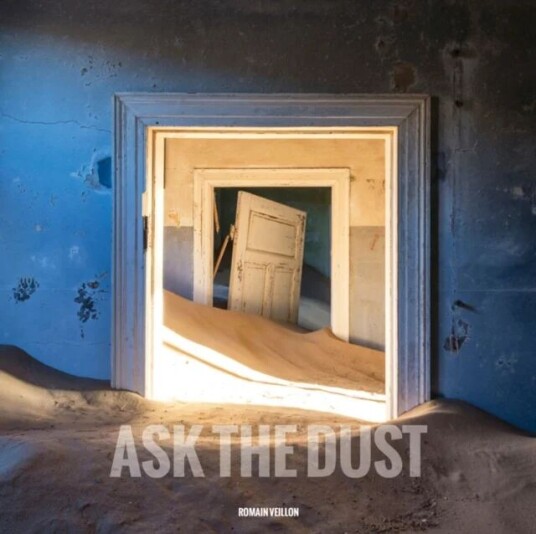 Ask The Dust Av Romain Veillon