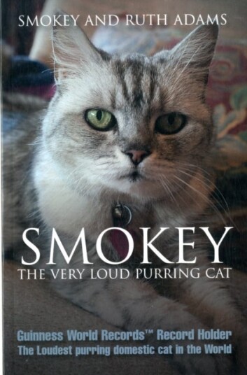 Smokey:  the Very Loud Purring Cat   Guinness World Record Holder