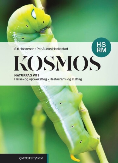 Kosmos HS RM