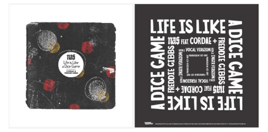 Nas Life Is Like A Dice Game LP/Vinyl