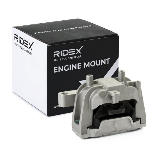 Motorfeste RIDEX 247E0693