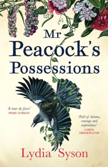 Mr Peacock'S Possessions Av Lydia Syson