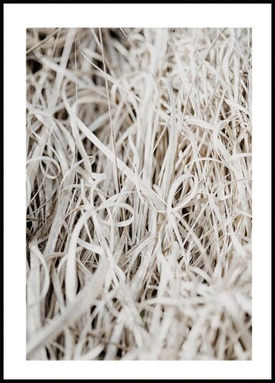 Grass Plakat Plakat / 100x150cm
