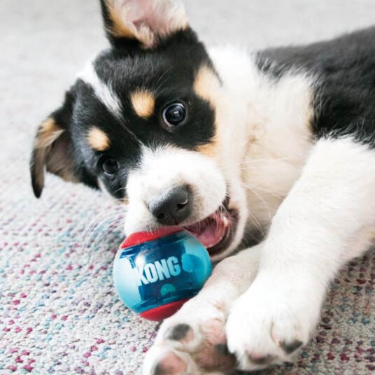 Kong Squeezz Ball