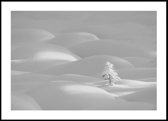 Alone Plakat Plakat / 100x150cm