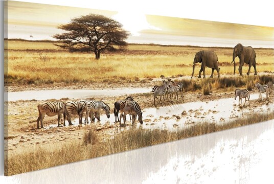 Bilde Africa At The Waterhole 135x45 Artgeist sp. z o. o.