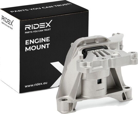 Motorfeste RIDEX 247E0931