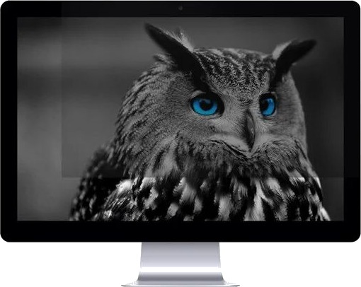 Natec Owl Rammefritt Personvernfilter 24" for PC Skjerm Natec Owl Rammefritt Personvernfilter 24" for PC Skjerm