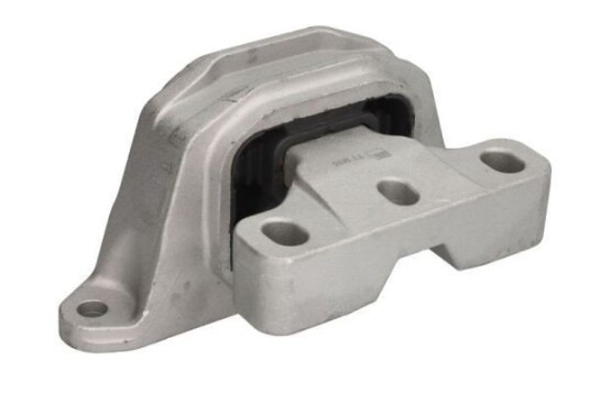Motorfeste REINHOCH RH11-0172