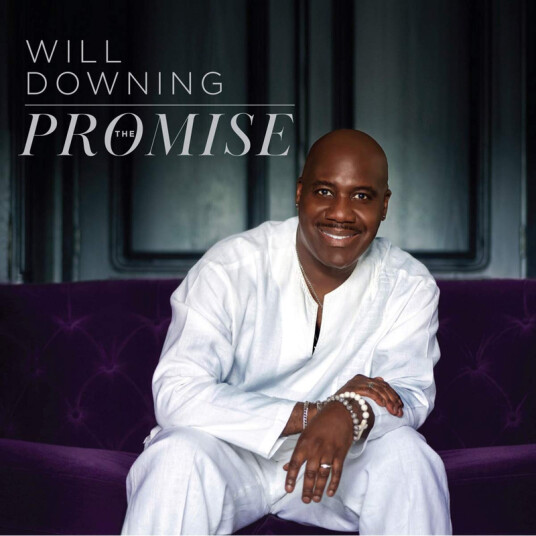 Will Downing The Promise CD