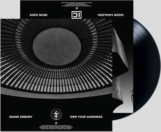 Neon Gods / Own Your Darkness
