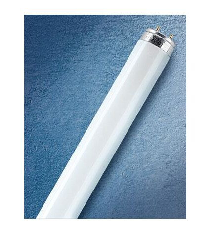 Osram LUMILUX T8 Lysrør 36 W/830