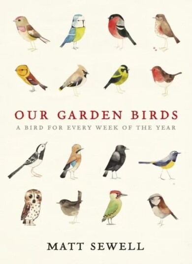 Our Garden Birds Av Matt Sewell
