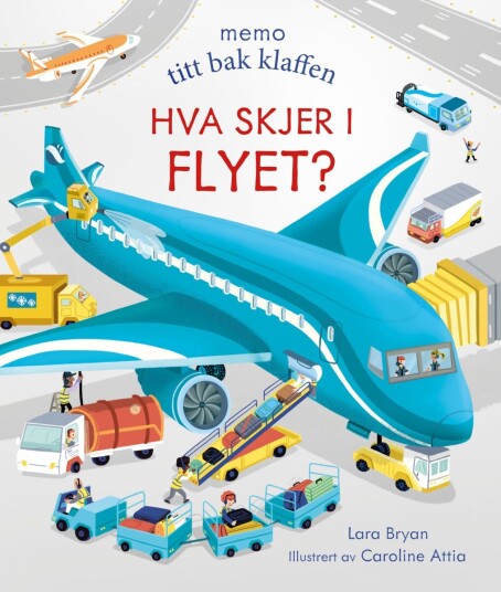 Hva skjer i flyet? Hva skjer i flyet?