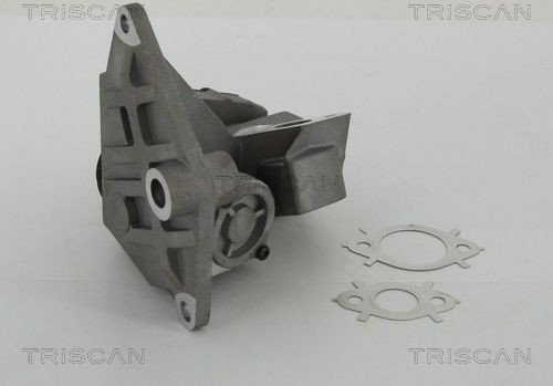 TRISCAN 8813 29047 EGR-ventil TRISCAN 8813 29047 EGR-ventil