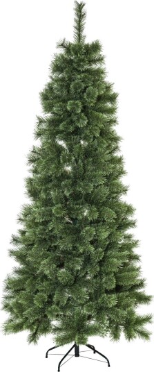 Juletre Star Trading Cembrini