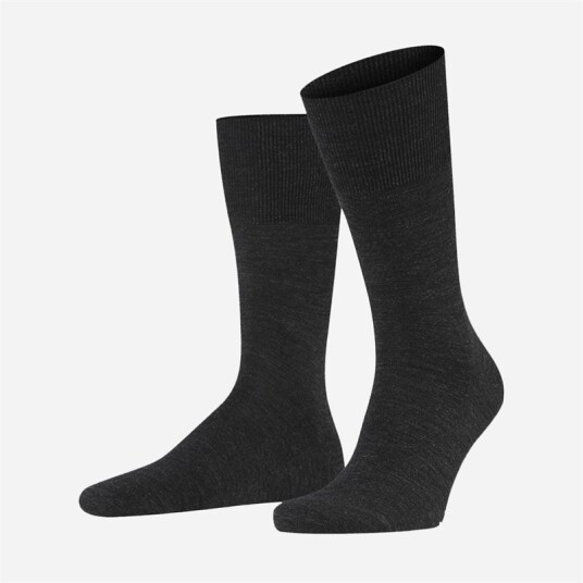 Falke Airport - Grey