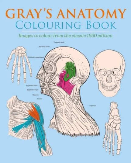 Gray'S Anatomy Colouring Book Av Henry Gray, Henry Carter
