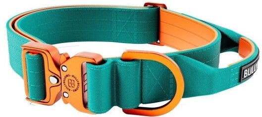 Bullybillows Bullybillow Combat Hundehalsbånd Med Håndtak Turkis & Oransje 4 cm (M)