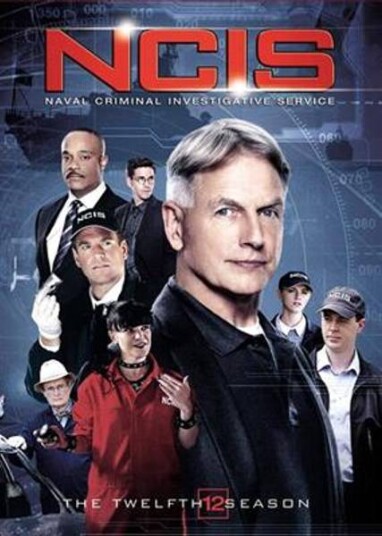Ncis Sesong 12 DVD