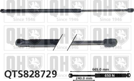 QUINTON HAZELL QTS828729 Baklukedemper