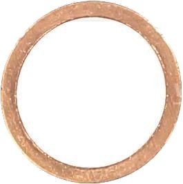 Tetningsring REINZ 41 70084 00