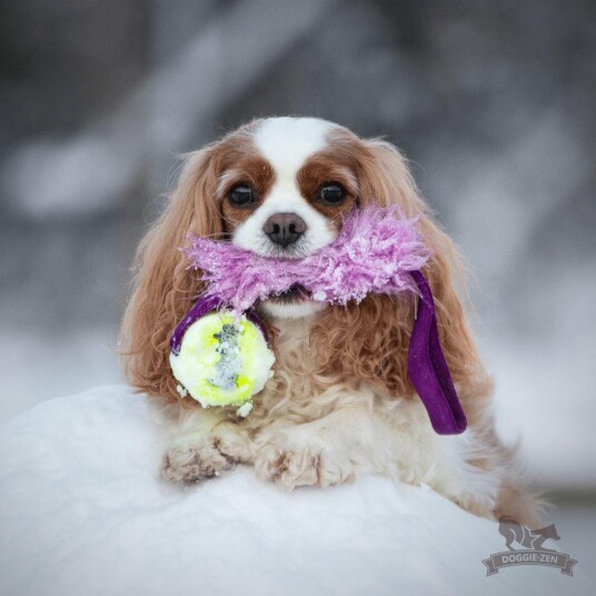 Doggie-Zen Doggie-Zen Hundeleke Med Fuskepels Og Kong Air Ball 35Cm