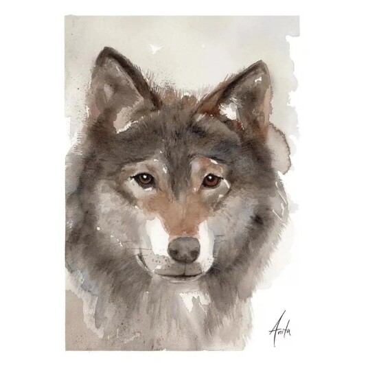 Nordicwild Kunsttrykk Ulv 30x40cm Akvarellpapir