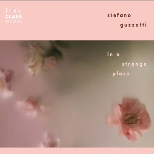 Stefano Guzetti In A Strange Place CD