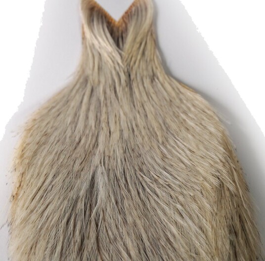 Whiting Coq De Leon Rooster Cape Unique Variant