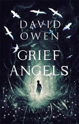 Grief Angels Av David Owen