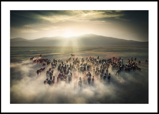 Wild Horses Poster Plakat / 70x100cm Wild Horses Poster Plakat / 70x100cm