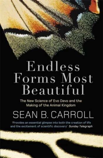 Endless Forms Most Beautiful Av Sean B. Carroll