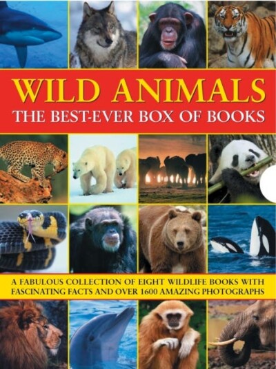 Wild Animals Best Ever Box Of Books Av Barbara Taylor