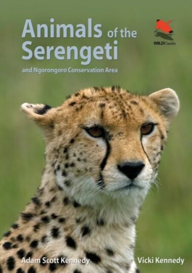 Animals Of The Serengeti Av Adam Scott Kennedy, Vicki Kennedy Animals Of The Serengeti Av Adam Scott Kennedy, Vicki Kennedy