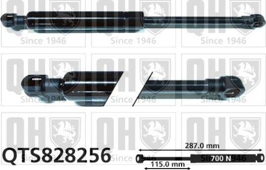 Gassfjær, kalesje QUINTON HAZELL QTS828256