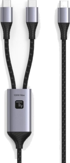 Techly Icoc Mu2c 2C100w 1,5 M Usb C 2 X Usb C Usb 2.0 0,48 Gbit/S Sort Grå