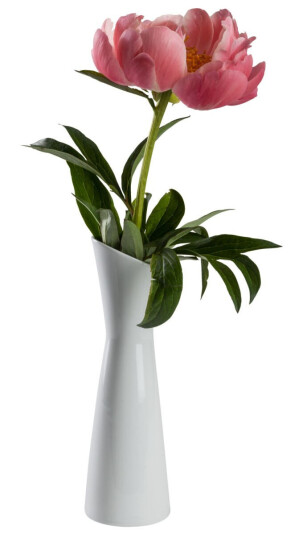 Pulsiva Vase Floare; 6x20.6 cm (ØxH); Hvit; 4 Stykk / Forpakning
