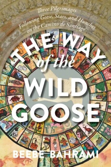 The Way Of The Wild Goose Av Beebe Bahrami